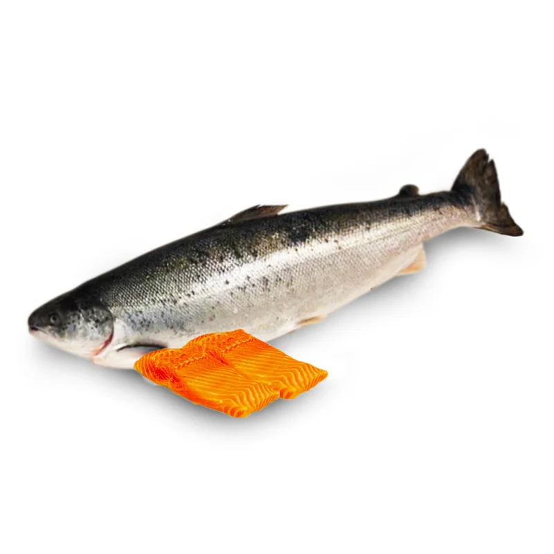  -Anti-scratch sofa protective coverChilled Norwegian Atlantic Salmon Fillet 200g+/-