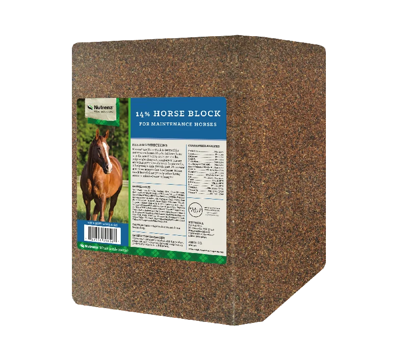 Pet ProductsHorse Block