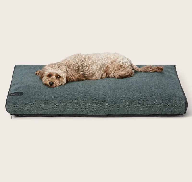 - Summer pet ice matSnooza Modern Daybed - Forest Green - Medium/Large