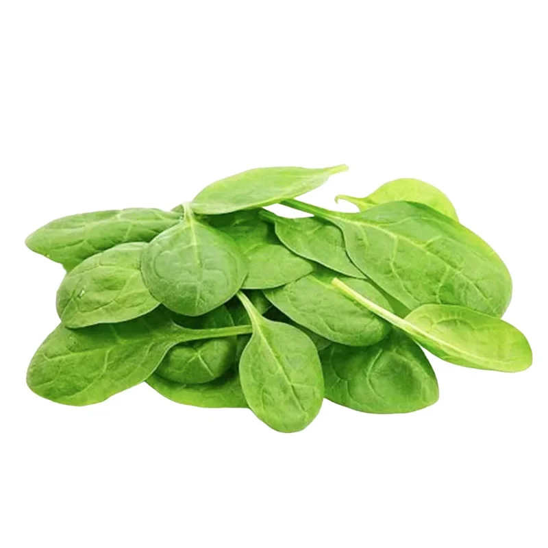 - Car dog seat beltOrganic Baby Spinach (Australia) 80g