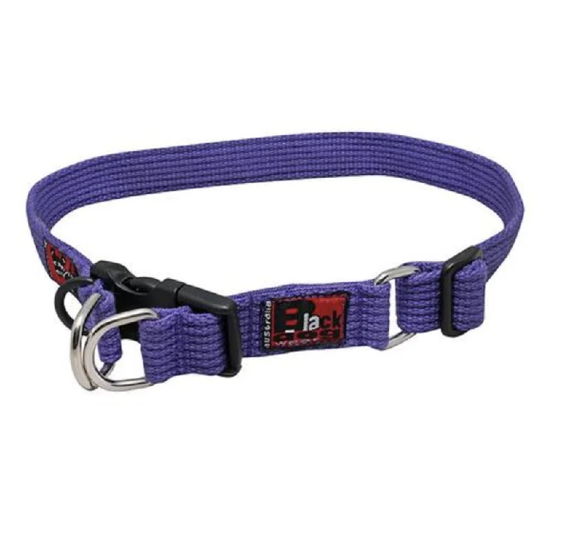 - Custom pet birthday cakeBlackdog Wear Standard Collar - XLarge - Purple