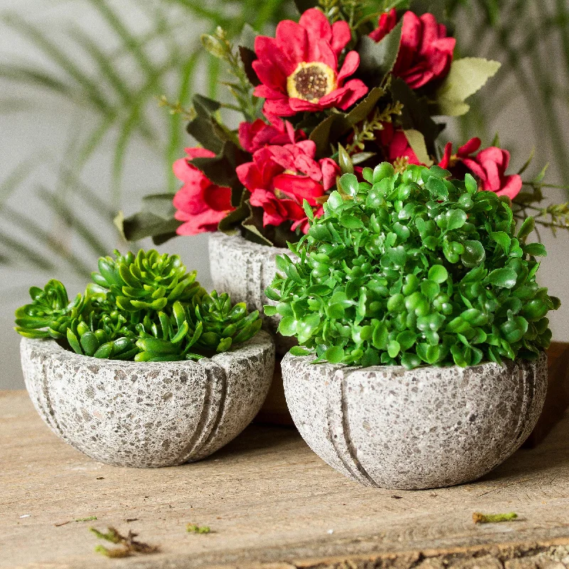 - Pet monitor with cameraPetite Fleurs Round Reclaimed Stone Flower Pots from Mexico (Set of 3)