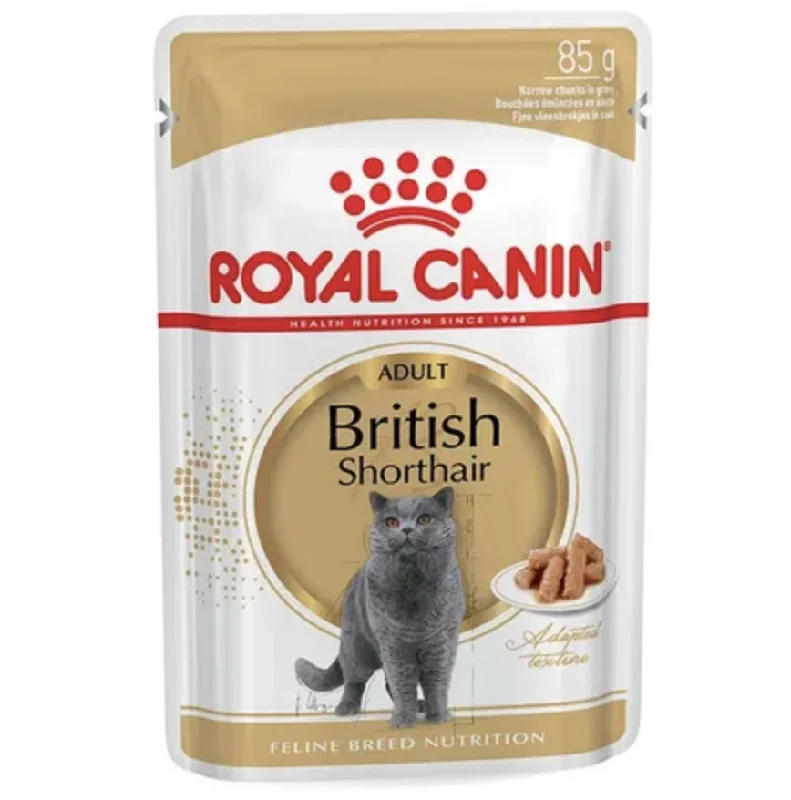 - Car dog seat beltRoyal Canin Cat Wet Food - British Shorthair (85g)