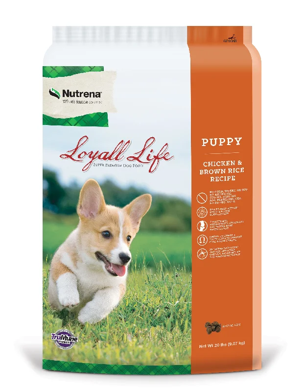 - Summer pet ice matLoyall Life Puppy Chicken & Brown Rice Dog Food