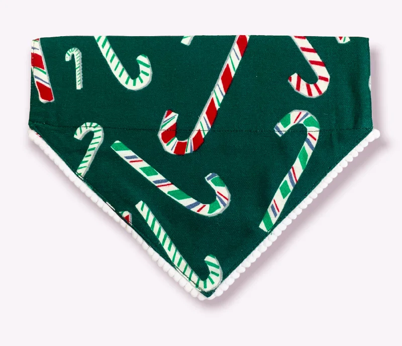 Pet walking leash setDog Bandana for Christmas: Candy Cane Bandana for Pets