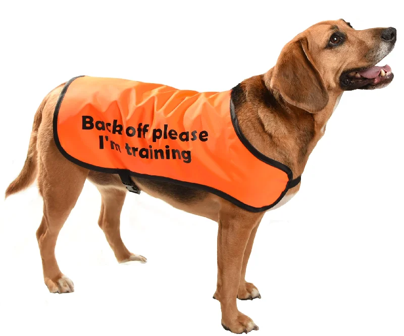 Focus on health and safety:Printed Dog Coat = Communicoat